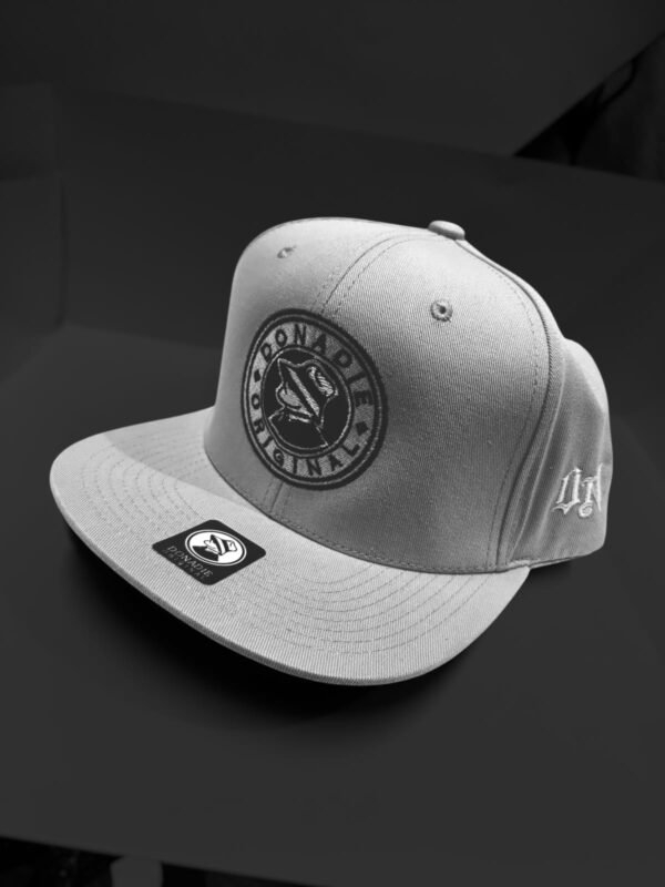 GORRA GRIS PLATA LOGO CLASICO - Image 2