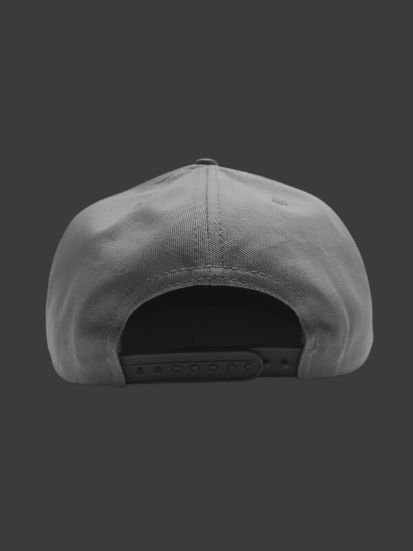 GORRA GRIS PLATA LOGO CLASICO - Image 4